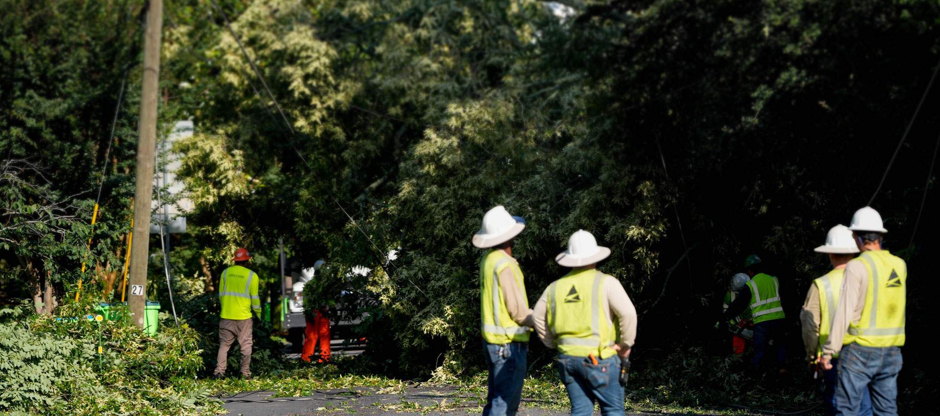 Utility line crews in hard hats and high-visibility vests clearing storm-downed trees from a road
