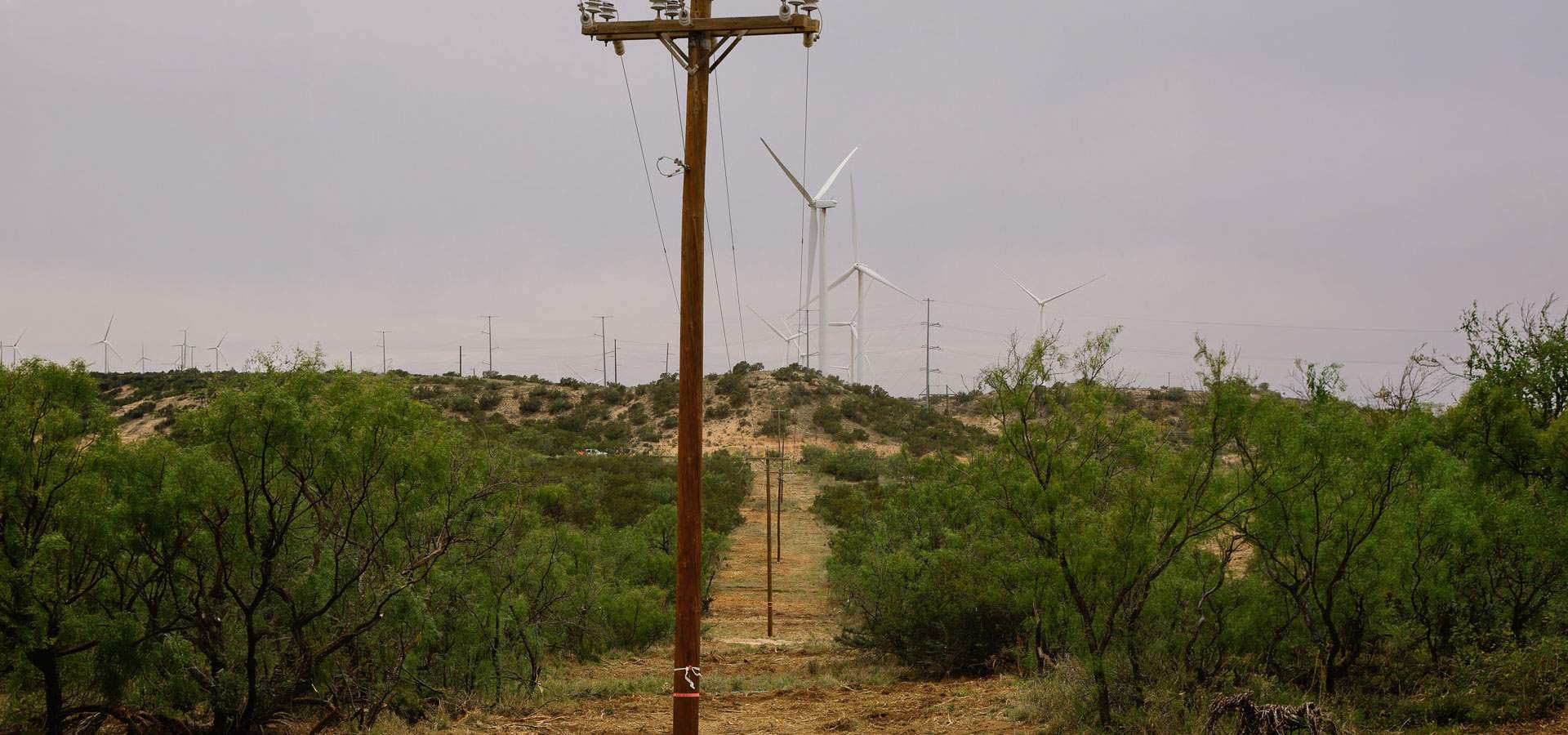Cleared utility right-of-way corridor with distribution poles running toward a wind farm on the horizon