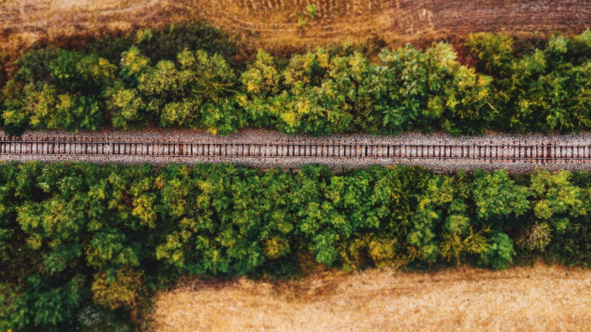 Aerial view of a rail line flanked by dense vegetation encroaching on the track ballast