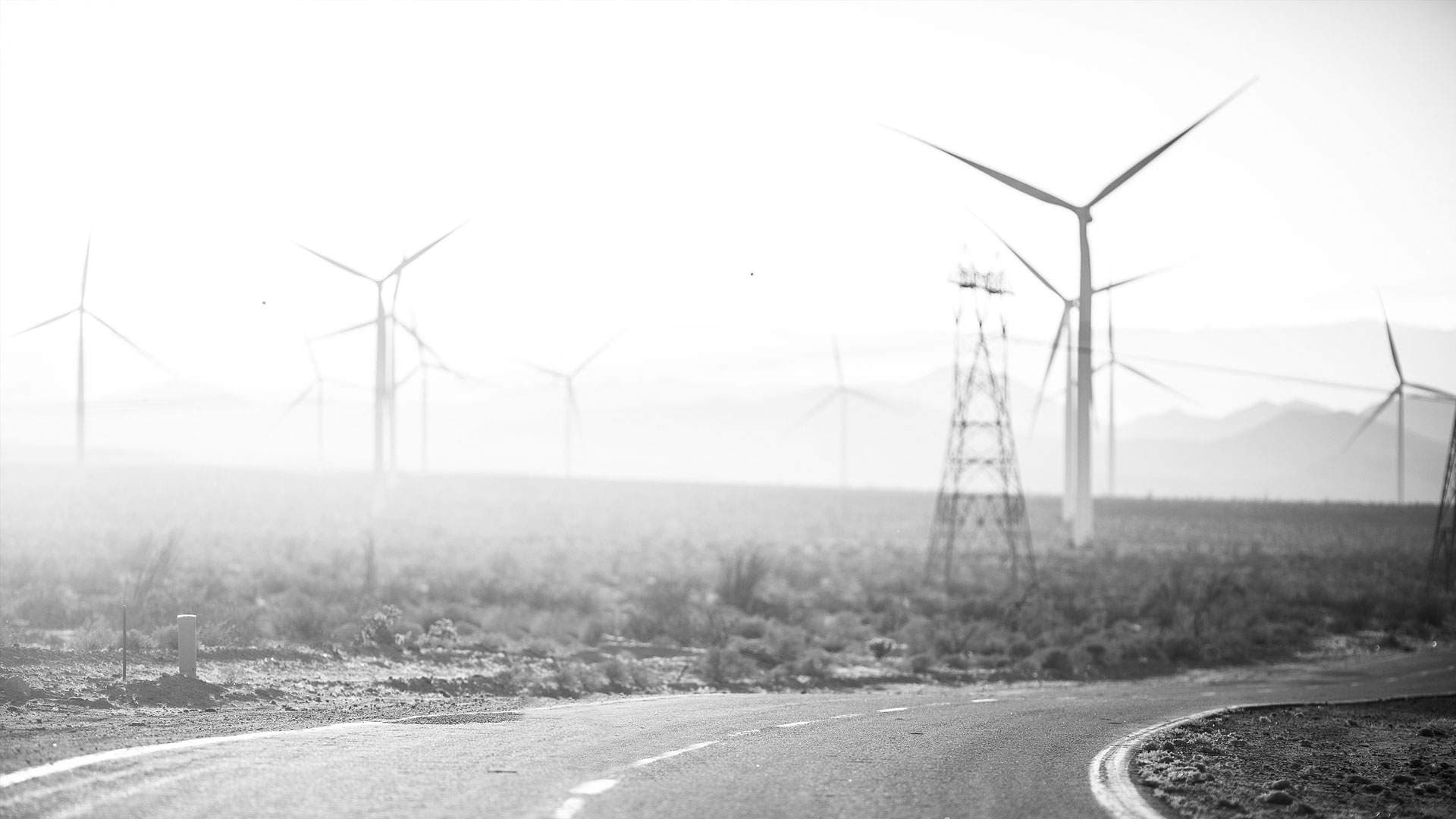 Wind turbines and a transmission tower beyond a curving access road at a West Texas wind farm