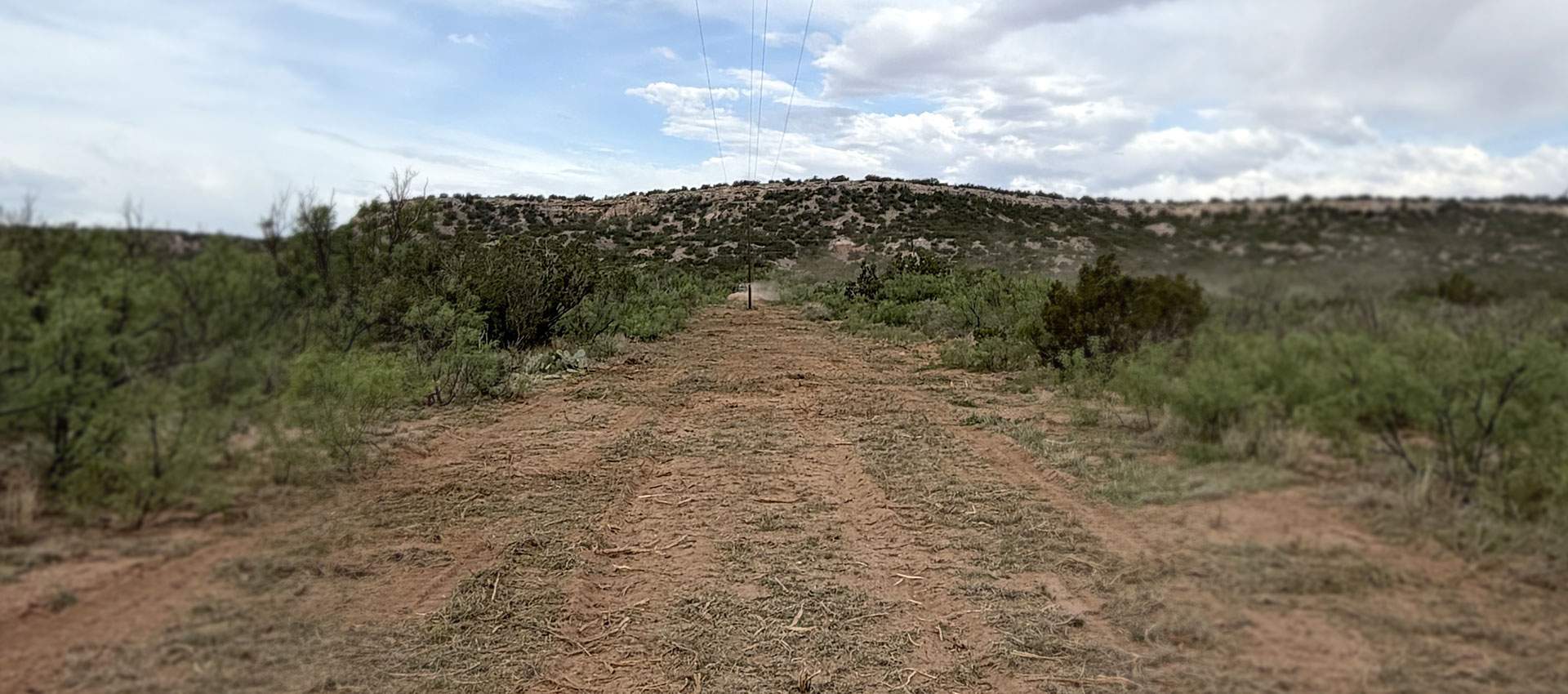 Freshly cleared right-of-way corridor with mulched ground cover beneath overhead conductors