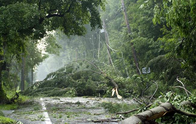 ALCC storm-response crews clearing downed timber for line trucks