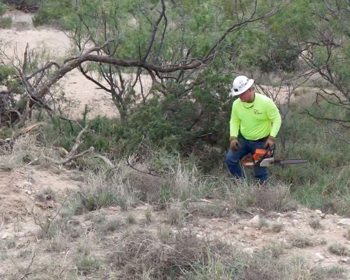 Integrated vegetation management along a distribution circuit